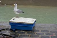 Cjp_2010_04_26_124824 (2).jpg